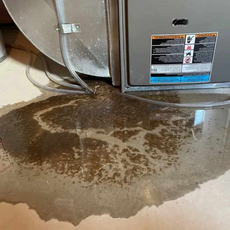 Pipe Burst and Leak Restoration in Lansford, PA