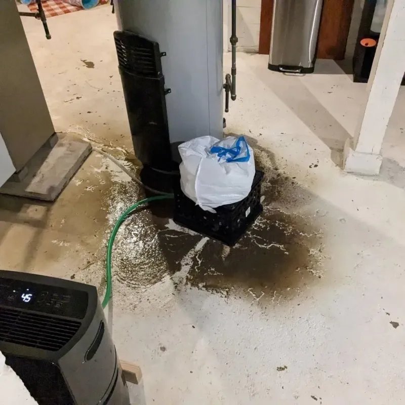 Sewage Backup Cleanup Service in Lansford, PA